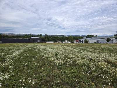 Gewerbegrundstück kaufen in 4209 Engerwitzdorf