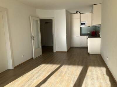 Wohnung mieten in 5071 Viehhausen (Bild 1)