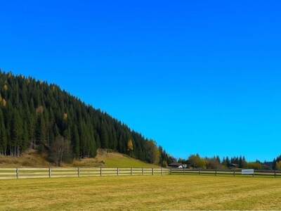 Haus kaufen in 8850 Laßnitz (Bild 4)