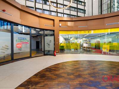 Gewerbeobjekt mieten in 1100 Wien (Bild 3)