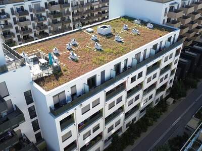 Gewerbeobjekt mieten in 1220 Wien