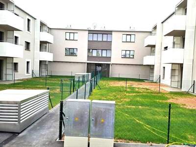 Wohnung mieten in 2020 Hollabrunn