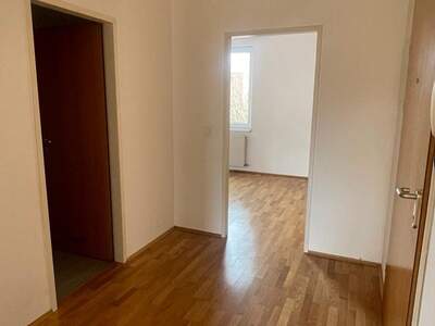 Wohnung mieten in 4600 Wels (Bild 4)
