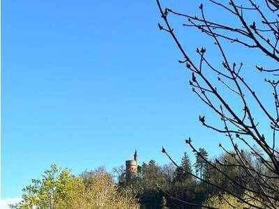 Reihenhaus kaufen in 4600 Wels