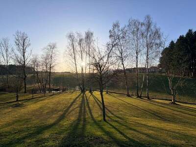 Grundstück kaufen in 5162 Obertrum