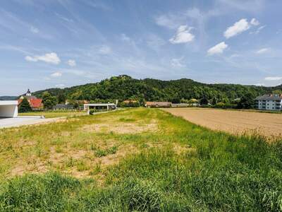 Grundstück kaufen in 8454 Arnfels