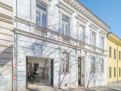 Altbauwohnung kaufen in 1180 Wien (Bild 1)