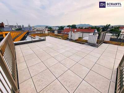 Terrassenwohnung kaufen in 1230 Wien (Bild 2)