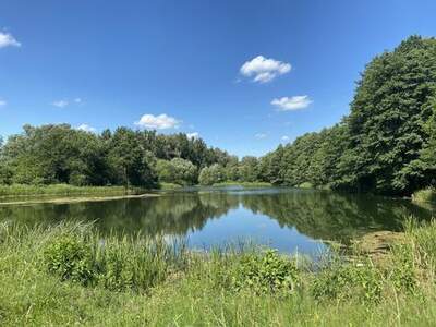 Wohnung kaufen in 1220 Wien