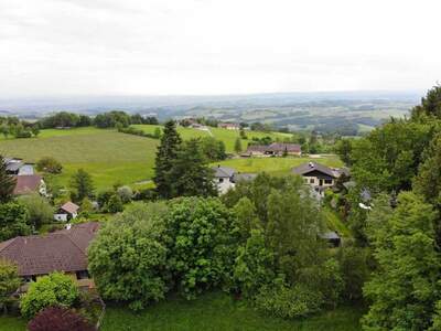 Grundstück kaufen in 4201 Eidenberg (Bild 5)