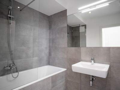 Terrassenwohnung mieten in 1210 Wien (Bild 3)