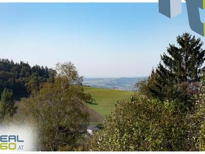 Grundstück kaufen in 4201 Gramastetten (Bild 3)