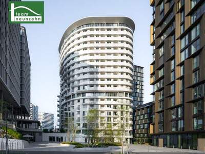 Terrassenwohnung mieten in 1100 Wien (Bild 1)