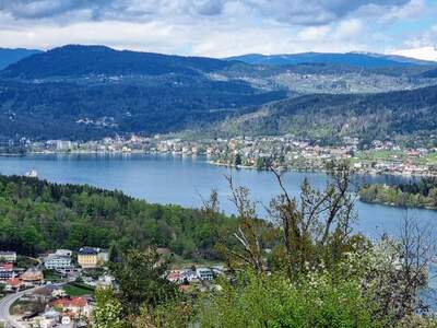 Grundstück kaufen in 9074 Keutschach (Bild 2)