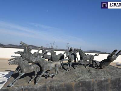 Terrassenwohnung kaufen in 8113 Sankt Bartholomä (Bild 2)