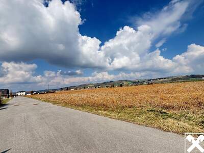 Grundstück kaufen in 4782 Sankt Florian (Bild 2)
