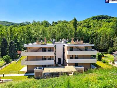 Wohnung mit Balkon kaufen in 2391 Kaltenleutgeben (Bild 3)