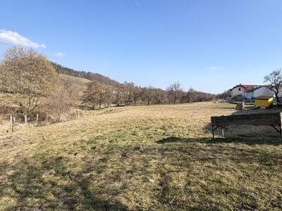 Einfamilienhaus kaufen in 2803 Schwarzenbach (Bild 4)