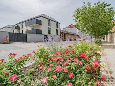 Haus mit Garten kaufen in 2331 Vösendorf