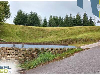 Grundstück kaufen in 4812 Pinsdorf (Bild 2)