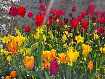 Wohnung kaufen in 4813 Altmünster