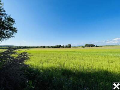 Haus kaufen in 2751 Steinabrückl (Bild 3)
