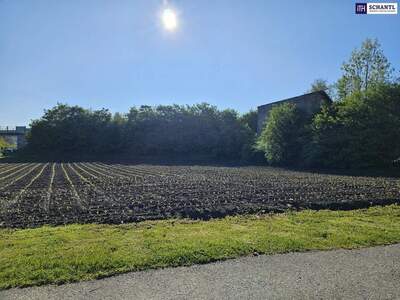 Grundstück kaufen in 8510 Stainz