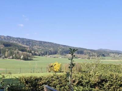 Grundstück kaufen in 4880 Berg (Bild 1)