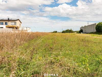 Grundstück kaufen in 7100 Neusiedl (Bild 2)