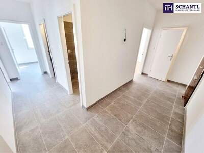 Wohnung mieten in 1100 Wien (Bild 5)