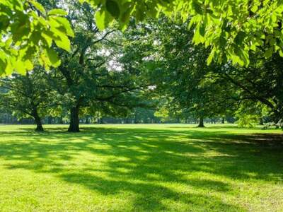 Wohnung mit Balkon kaufen in 8010 Graz