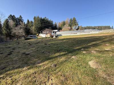 Haus kaufen in 4040 Lichtenberg (Bild 5)