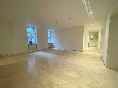 Gewerbeobjekt mieten in 1080 Wien (Bild 4)