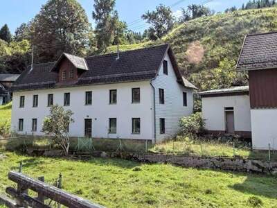Haus kaufen in 4460 Losenstein