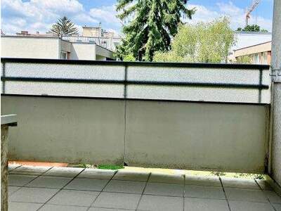 Terrassenwohnung mieten in 1190 Wien (Bild 3)