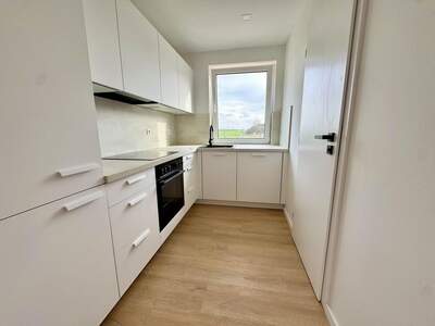 Einfamilienhaus mieten in 2273 Hohenau