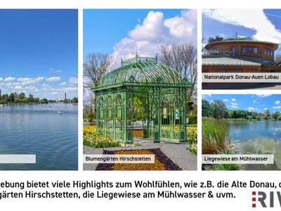 Terrassenwohnung kaufen in 1220 Wien (Bild 5)