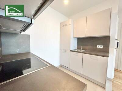 Terrassenwohnung mieten in 8020 Graz (Bild 2)