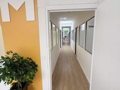 Gewerbeobjekt mieten in 4063 Hörsching (Bild 3)