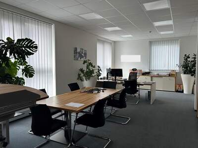 Gewerbeobjekt mieten in 8020 Graz (Bild 3)