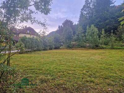 Grundstück kaufen in 5324 Vordersee