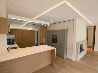 Anlageobjekt kaufen in 1190 Wien