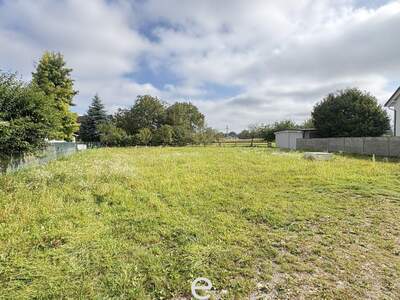 Haus mit Garten kaufen in 4614 Marchtrenk (Bild 3)