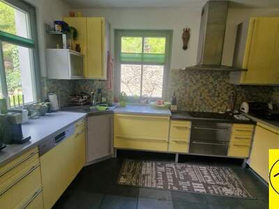 Einfamilienhaus kaufen in 3541 Senftenberg (Bild 4)