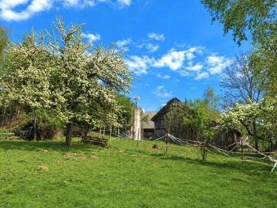 Haus mit Garten kaufen in 2852 Gschaidt (Bild 1)