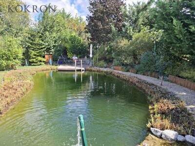 Einfamilienhaus kaufen in 2440 Gramatneusiedl (Bild 4)