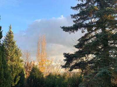 Haus kaufen in 2102 Hagenbrunn