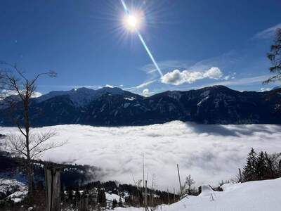 Mietwohnung provisionsfrei in 9772 Dellach