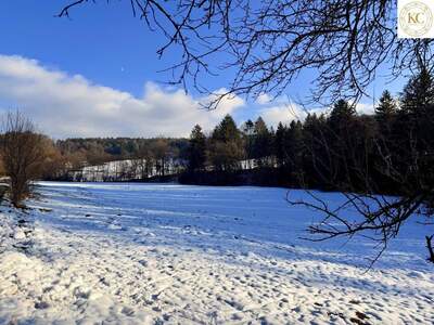Grundstück kaufen in 8045 Graz