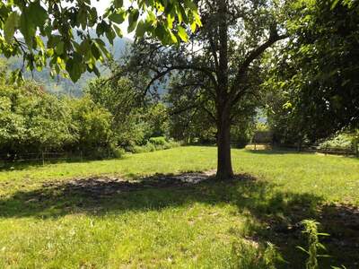 Grundstück kaufen in 6800 Feldkirch (Bild 2)